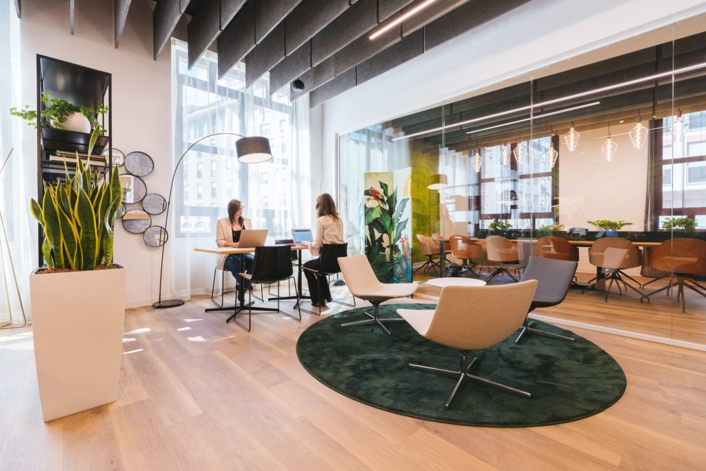 Two women working in a well-decorated office